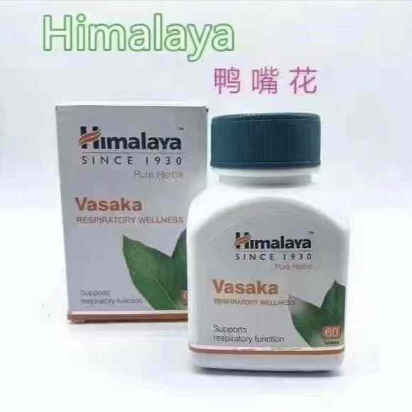 鸭嘴花提高肺功能印度喜马拉雅植物提取himalaya vasaka